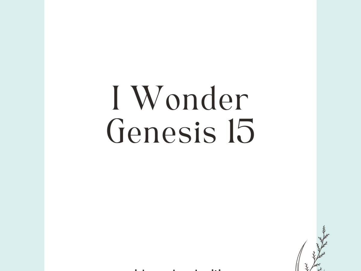 I Wonder, Genesis 15: 1-18