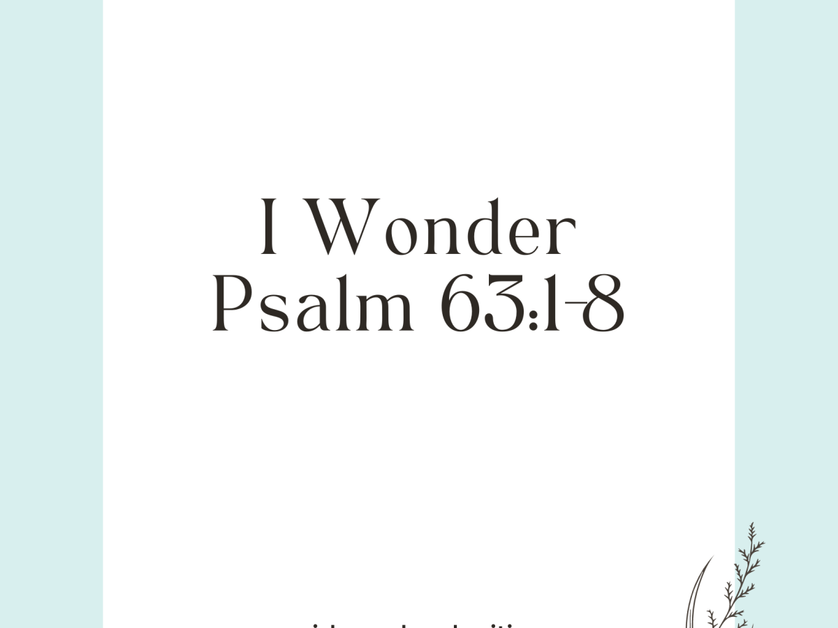 I Wonder, Psalm 63:1-8